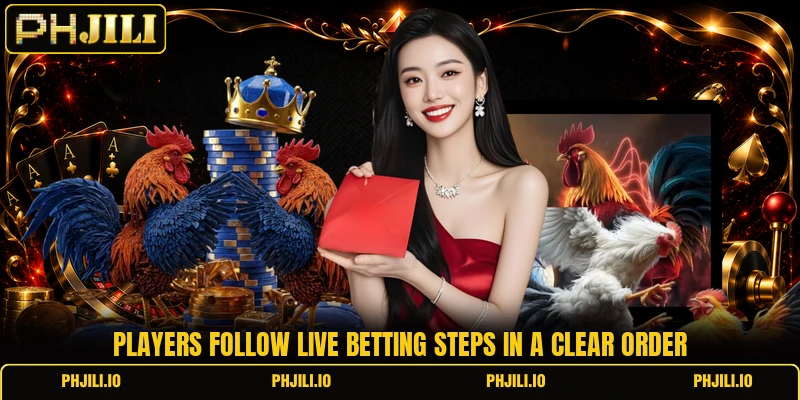 Players follow live betting steps in a clear order